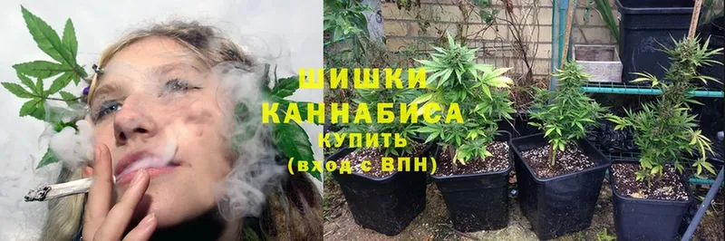 где можно купить наркотик  hydra как войти  Конопля SATIVA & INDICA  Комсомольск 